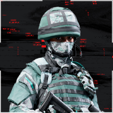 NATO Assault Soldier Skin