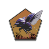 Coleopterology Decal