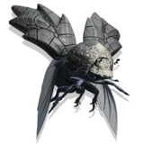 A. Chilinjosa Companion