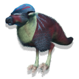 H. Coldvaum Companion