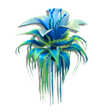 Floating Tassel Lily