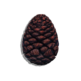 Closed Seed Cone