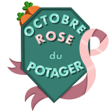 Pink October EBR Race