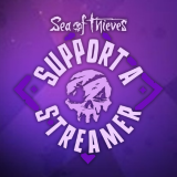 Support A Streamer 2025