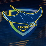 Rays Gaming Showdown