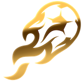 Image for Football Fest 2026
