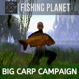 Big Carp Campaign