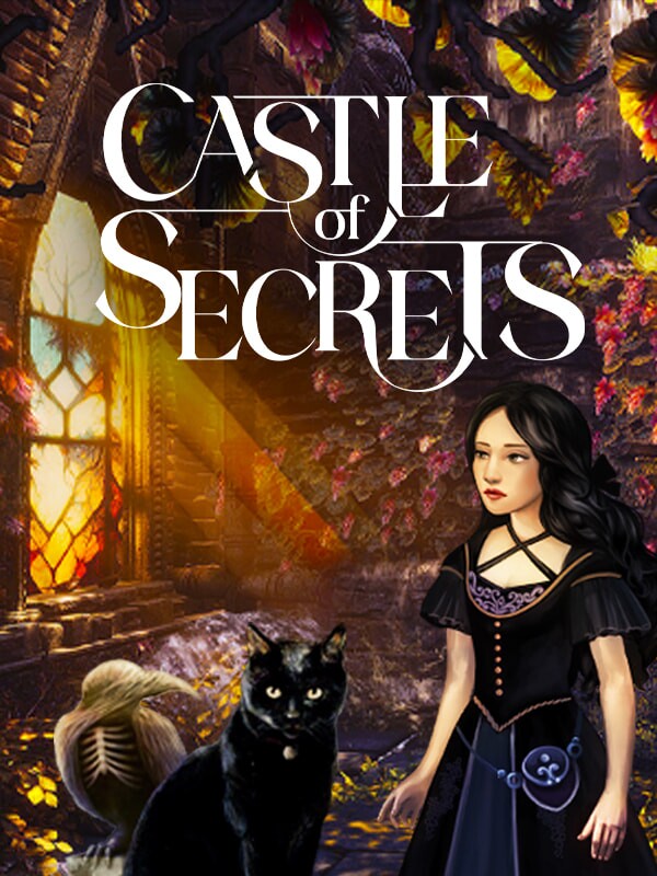 Box art for Castle of Secrets
