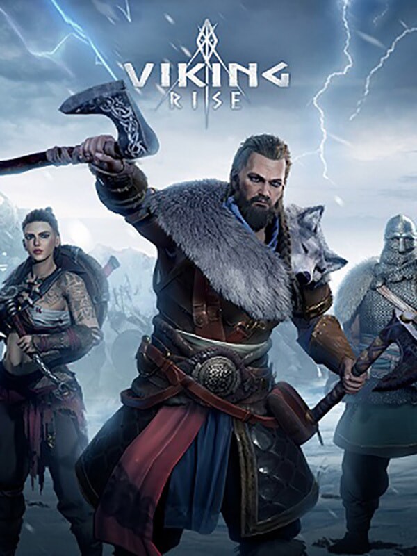 Box art for Viking Rise